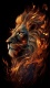 Lion0020