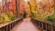 Nature0025