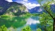 Nature0030