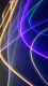 Neon0014