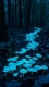 Night &amp; Dark v0014