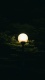 Night &amp; Dark v0018