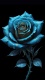 other0027