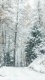 Snow V0018