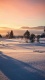 Snow V0021