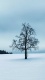 Snow V0022