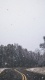 Snow V0023