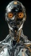 AI0013