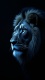 Animal0002