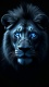 Animal0001