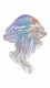 Aquatic0004