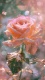 Beauty0009