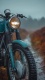 Bike0012