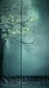 Rain0004
