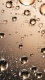 Rain0006
