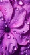 Rain0017