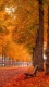 Autumn 0008 (391 visits) Autumn 0008