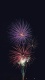 Fireworks0021