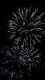 Fireworks0026