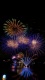 Fireworks0029