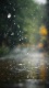 Rain0018