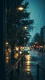 Rain0019